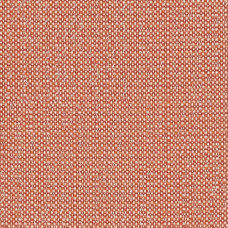J353 Savane Dawn